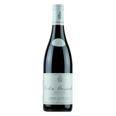 Domaine Antonin Guyon Corton Bressandes Grand Cru 2019