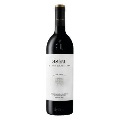 Aster Finca El Otero 2019