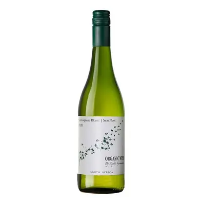 Sophie Germanier Sauvignon Blanc / Semilion