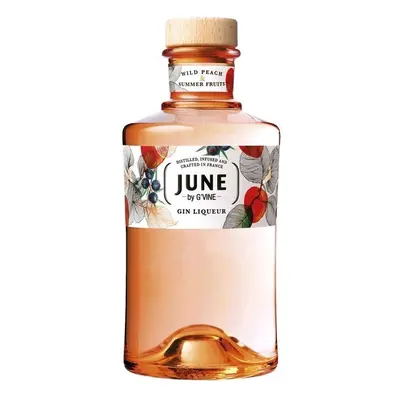 GVine June Wild Peach & Summer fruits 0.7l