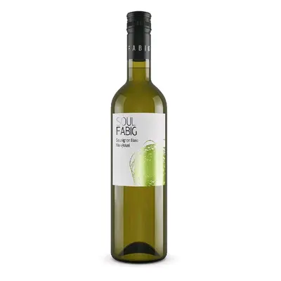 Sauvignon Na výsluní Soul Fabig 0.75l