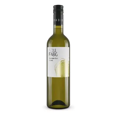 Sauvignon Sahara Soul Fabig 0.75l