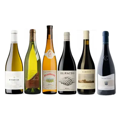 Decanter Wine Awards - mix oceněných vín