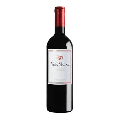 Dominio Basconcillos Viña Magna 6 meses 2019, Dominio Basconcillos, Ribera del Duero