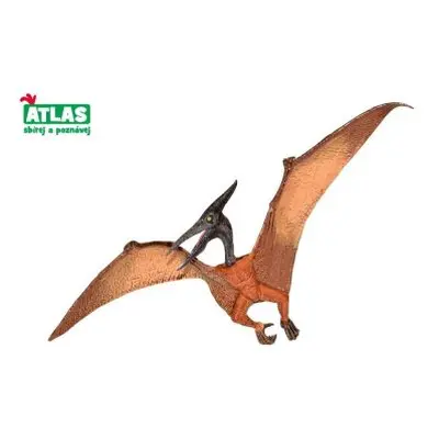 C - Figurka Dino Pteranodon 22 cm