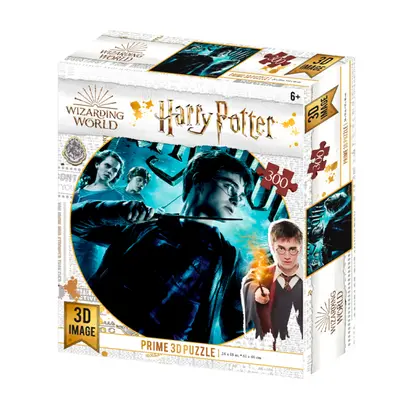 3D puzzle Harry Potter-HarryPotter 300ks