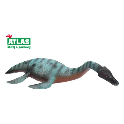 F - Figurka Plesiosaurus 25 cm