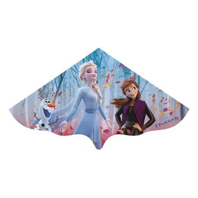 Drak ELSA