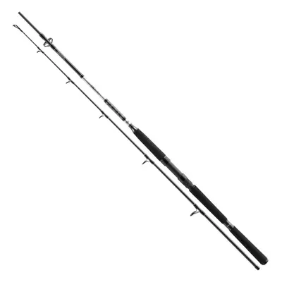 Daiwa Prut BG Offshore Pilk 2,4m 50-165g 2-díl