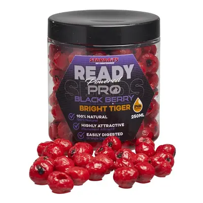 Starbaits Partikl Ready Seeds Bright Tiger 250ml Příchuť: Pro Blackberry