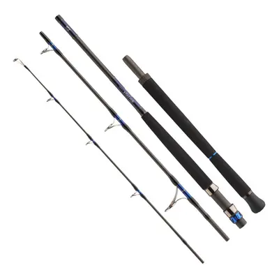 Daiwa Prut Saltiga Air Portable 2,25m 60-165g 4-díl