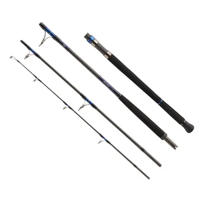 Daiwa Prut Saltiga AP 2,4m 50-120g 4-díl