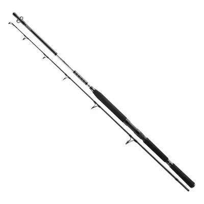 Daiwa Prut BG Popper 2,3m 40-150g 2-díl