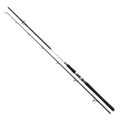 Daiwa Prut Grandwave Cod Jigger 2,4m 150-300g 2-díl