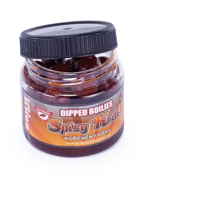 Sportcarp Boilies v Dipu Dipped Boilies 200 ml 18 mm Průměr: 18mm, Příchuť: Spicy Krill