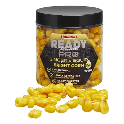 Starbaits Kukuřice Ready Seeds Bright Corn 250ml Příchuť: Pro Ginger Squid