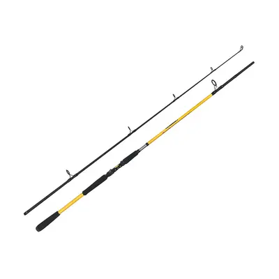 Zfish Prut Kodiak 2,40m 100-250g 2-díl