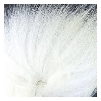 Veniard Polární Liška Arctic Fox Tail White