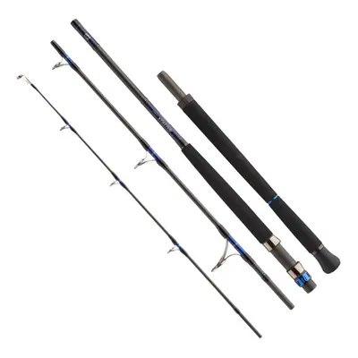 Daiwa Prut Saltiga AP 1,7m 180-400g 3-díl