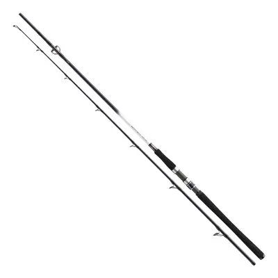 Daiwa Prut Grandwave Pollock 2,4m 40-100g 2-díl