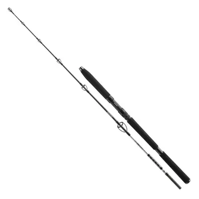 Daiwa Prut BG Ses Jigger 1,7m 150-400g 1+1díl