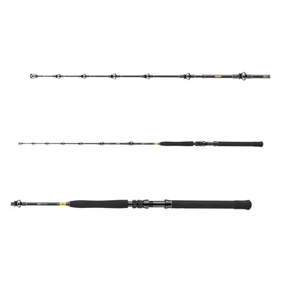 Daiwa Prut BG Big Game 1,68m 20-30lb 3-díl