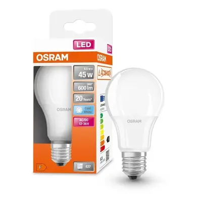 LED klasická LED žárovka E27 6,5 W STAR, studená bílá