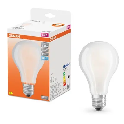 Matná LED žárovka E27 24 W CLASSIC A, studená bílá