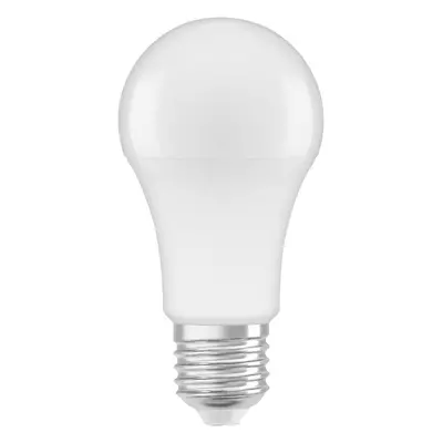 Matná LED žárovka E27 13 W CLASSIC studená bílá