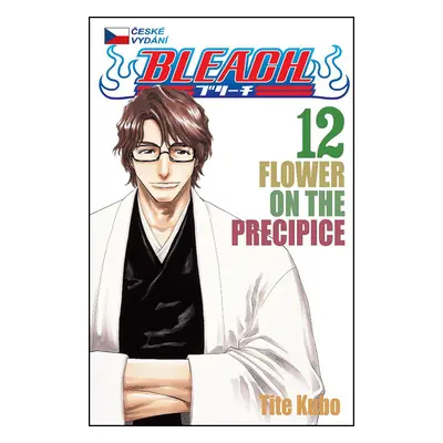 Bleach 12