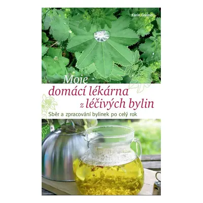 Moje domácí lékárna z léčivých bylin