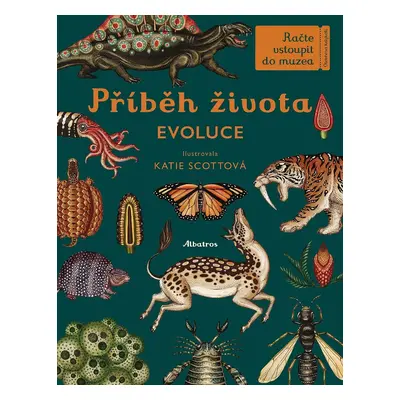 Příběh života Evoluce