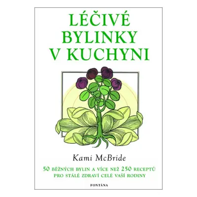 Léčivé bylinky v kuchyni