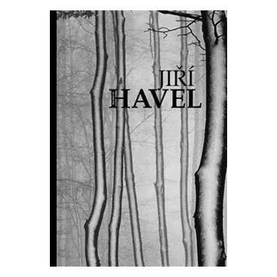 The Best of Jiří Havel