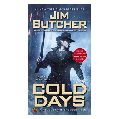 Dresden Files 14. Cold Days