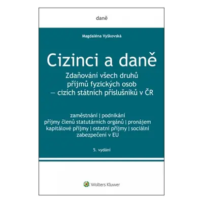 Cizinci a daně