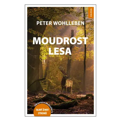 Moudrost lesa