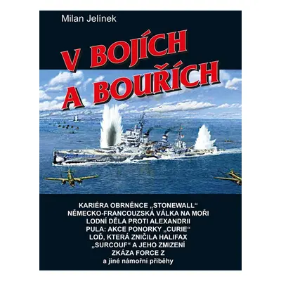 V bojích a bouřích