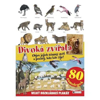 Divoká zvířata