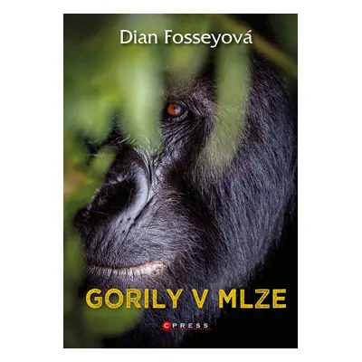 Gorily v mlze