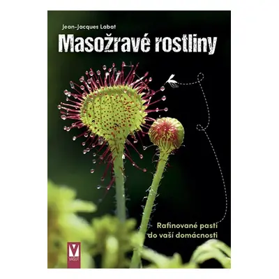 Masožravé rostliny