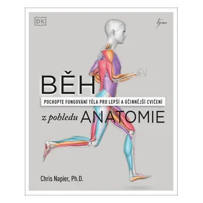 Běh z pohledu anatomie