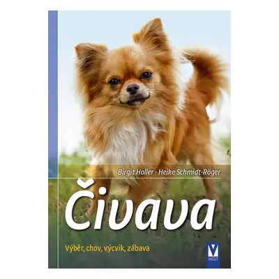 Čivava