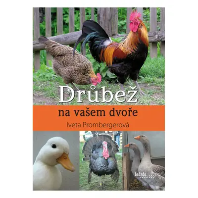 Drůbež na vašem dvoře