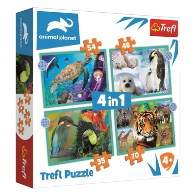 Puzzle Animal Planet: Záhadný svět zvířat 4v1