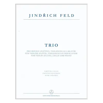 Trio pro housle (flétnu), violoncello a klavír