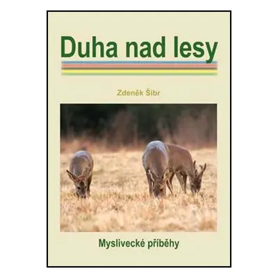 Duha nad lesy