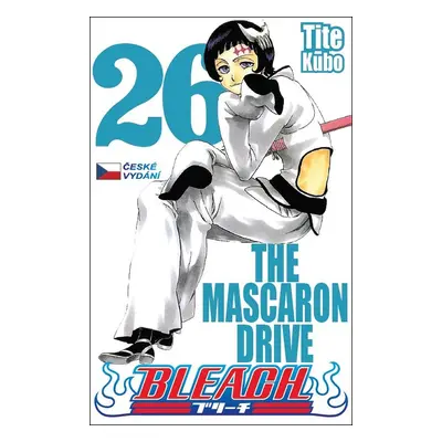 Bleach 26