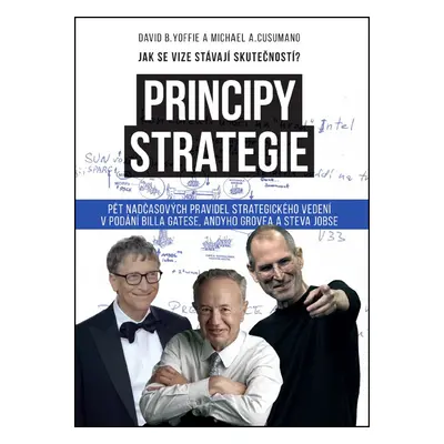 Principy strategie