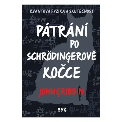 Pátrání po Schrödingerově kočce